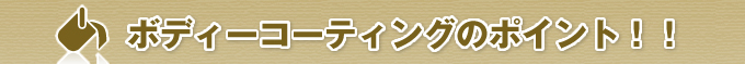 ボディーコーティングのポイント